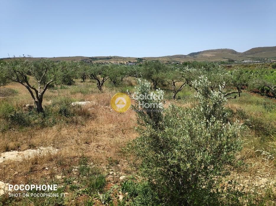 Parcel in Alagni, Arkalochori — Photo 28 of 31