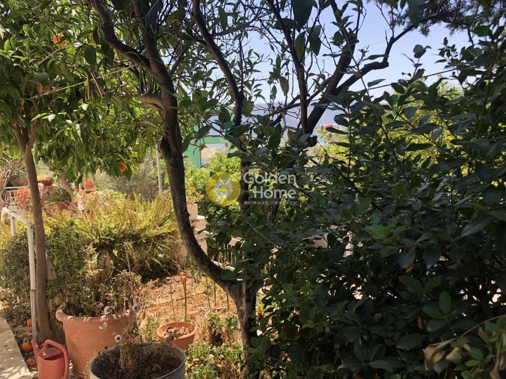 Μονοκατοικία στην Κέντρο, Ελληνικό — Φωτογραφία 6 από 10