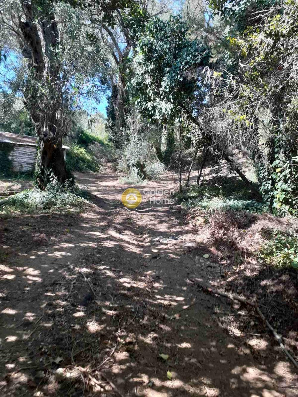 Building Plot in Αgios Georgios, Corfu — Photo 1 of 6