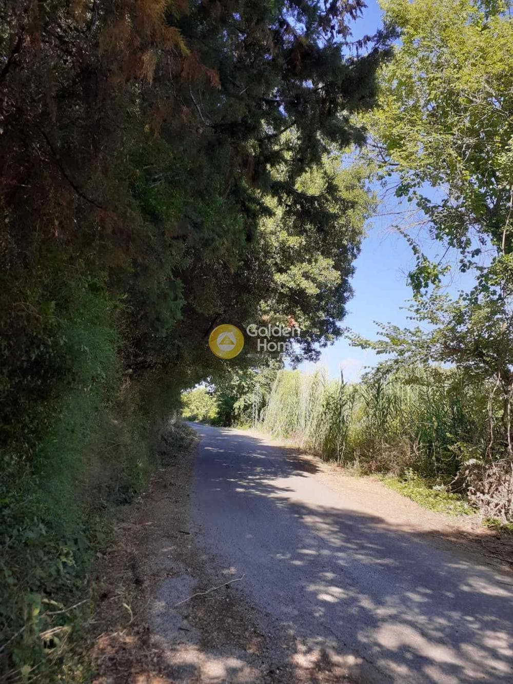 Building Plot in Αgios Georgios, Corfu — Photo 5 of 6