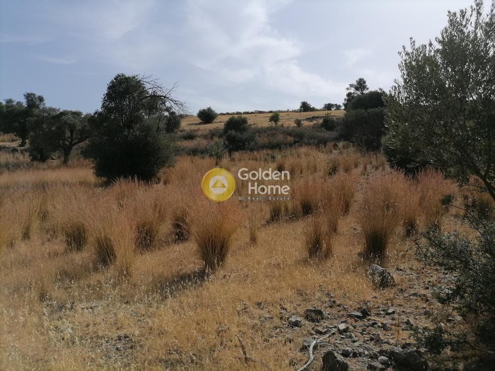 Parcel in Kouses, Moires — Photo 12 of 15
