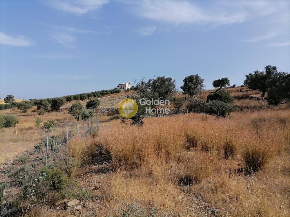 Parcel in Kouses, Moires — Photo 6 of 15