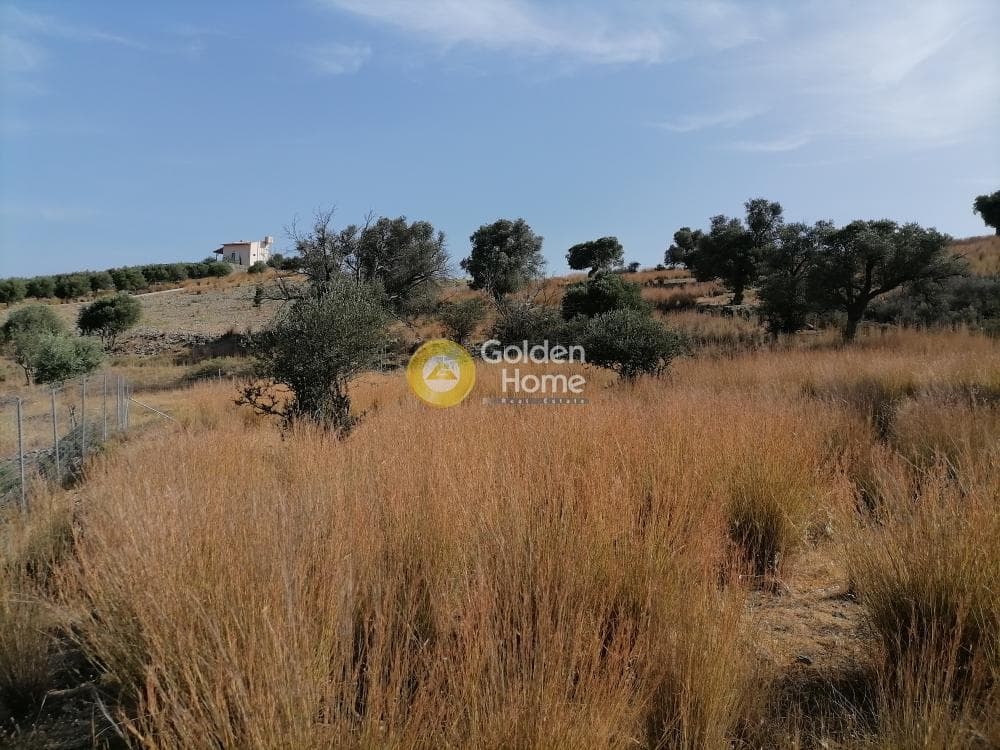 Parcel in Kouses, Moires — Photo 4 of 15