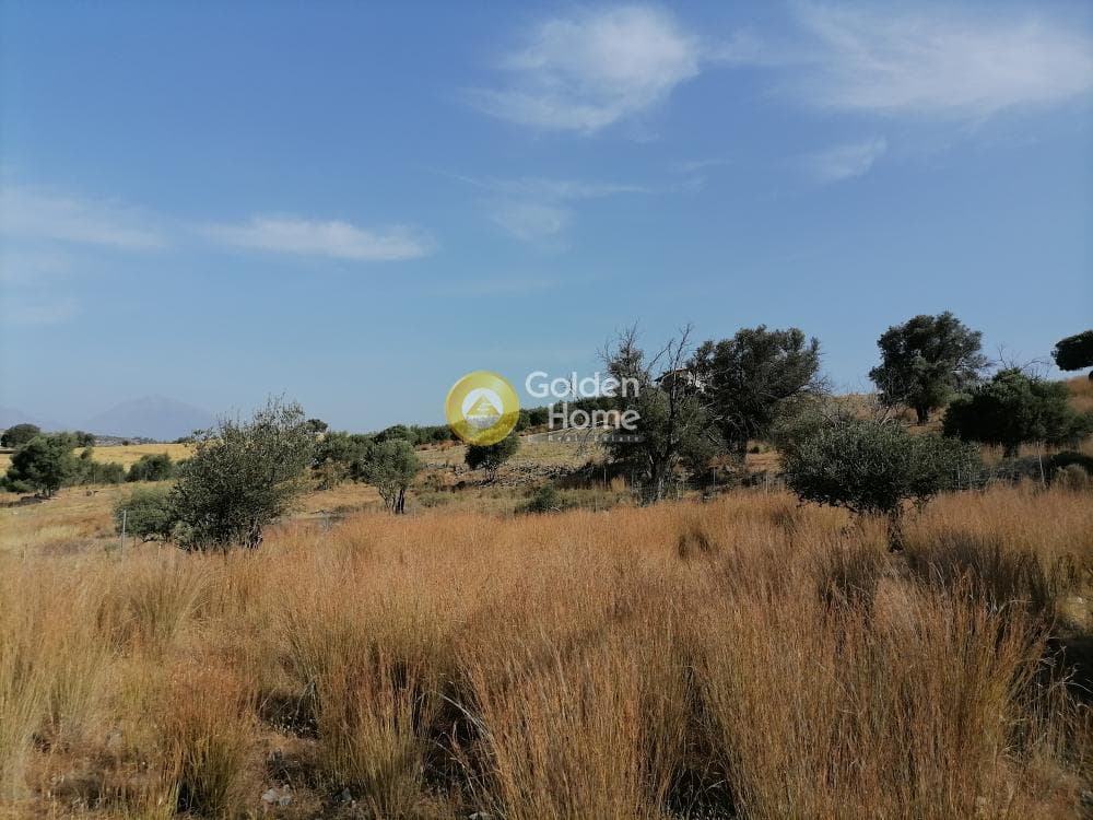 Parcel in Kouses, Moires — Photo 15 of 15