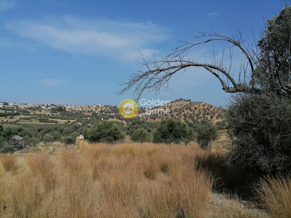 Parcel in Kouses, Moires — Photo 7 of 15