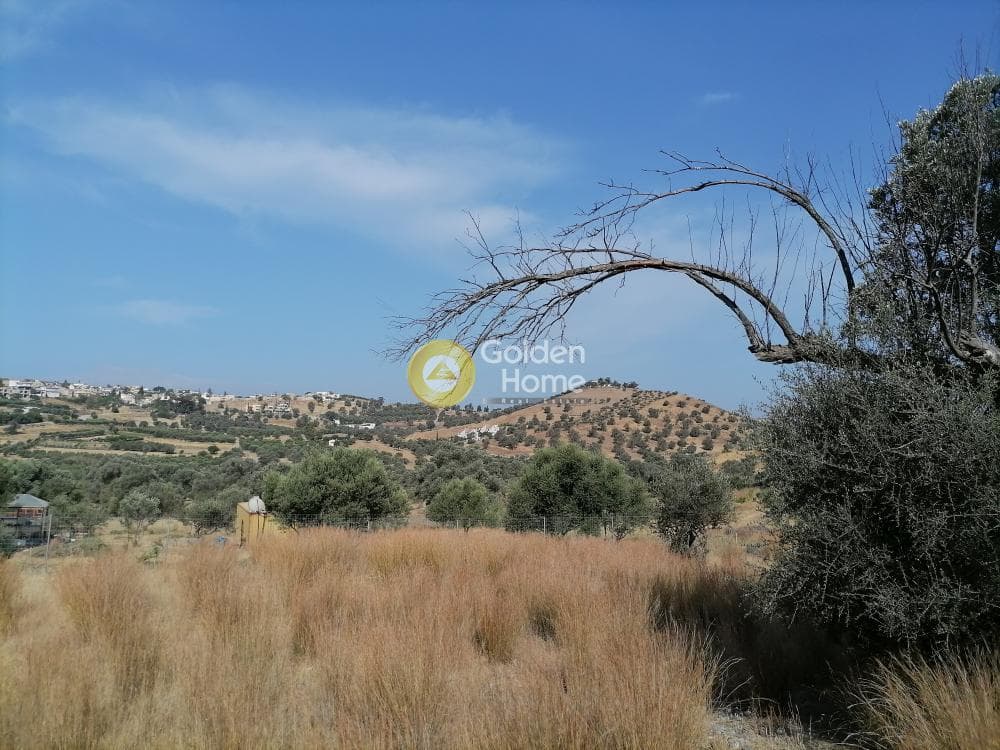 Parcel in Kouses, Moires — Photo 2 of 15