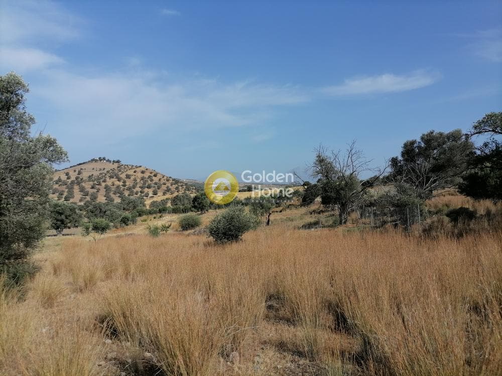 Parcel in Kouses, Moires — Photo 1 of 15