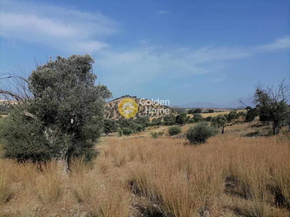 Parcel in Kouses, Moires — Photo 5 of 15
