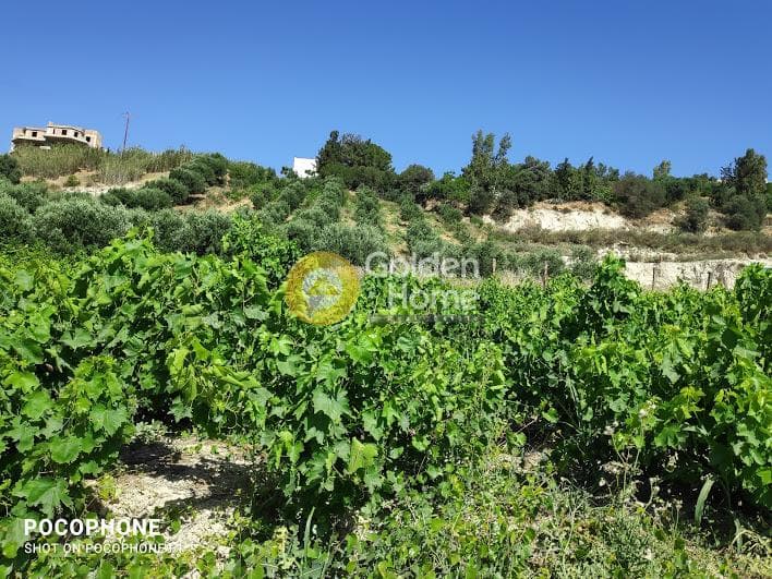 Building Plot in Athanatoi, Temenos — Photo 4 of 27