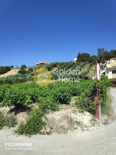 Building Plot in Athanatoi, Temenos — Photo 7 of 27