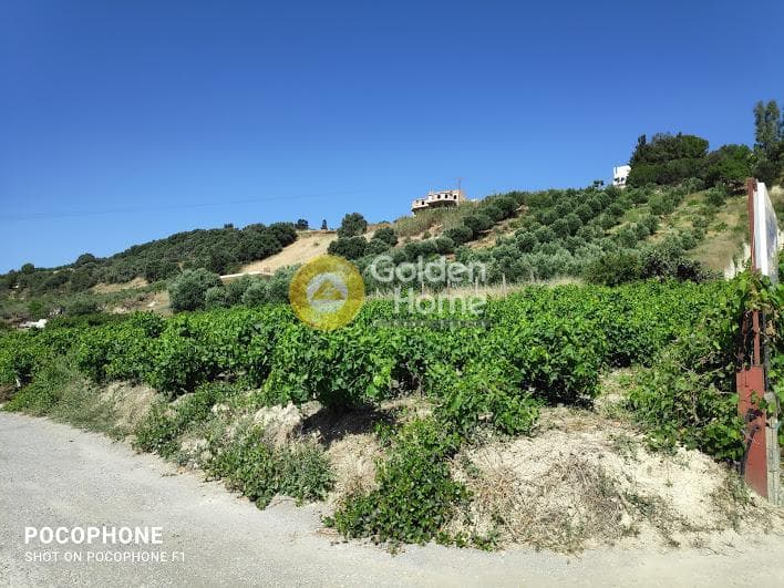 Building Plot in Athanatoi, Temenos — Photo 6 of 27
