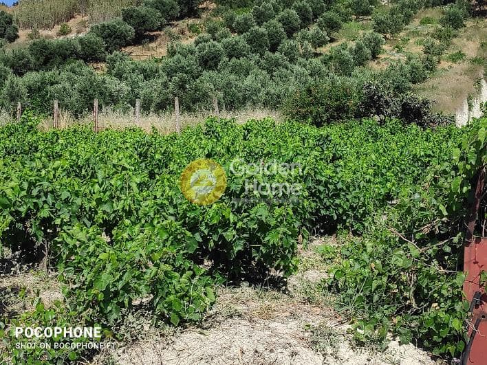 Building Plot in Athanatoi, Temenos — Photo 10 of 27
