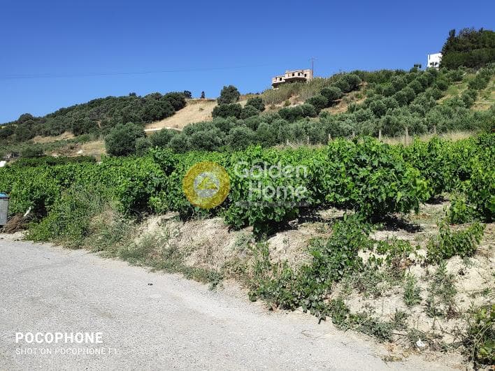 Building Plot in Athanatoi, Temenos — Photo 11 of 27
