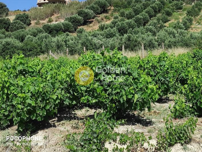 Building Plot in Athanatoi, Temenos — Photo 12 of 27