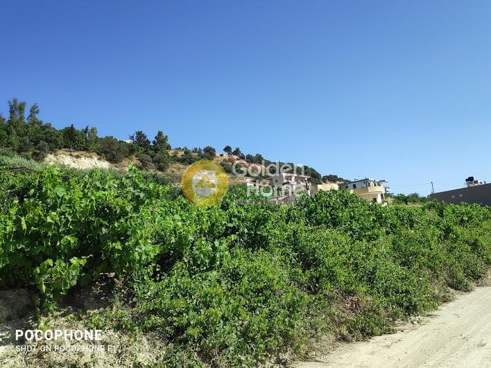 Building Plot in Athanatoi, Temenos — Photo 16 of 27