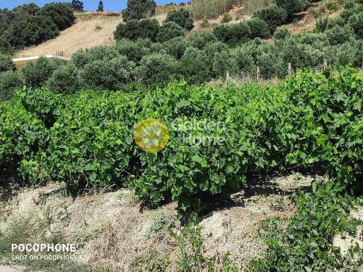 Building Plot in Athanatoi, Temenos — Photo 17 of 27