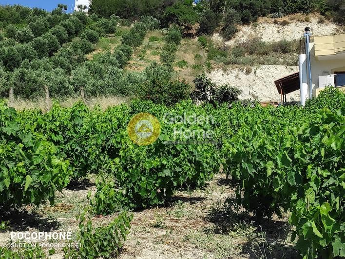 Building Plot in Athanatoi, Temenos — Photo 15 of 27