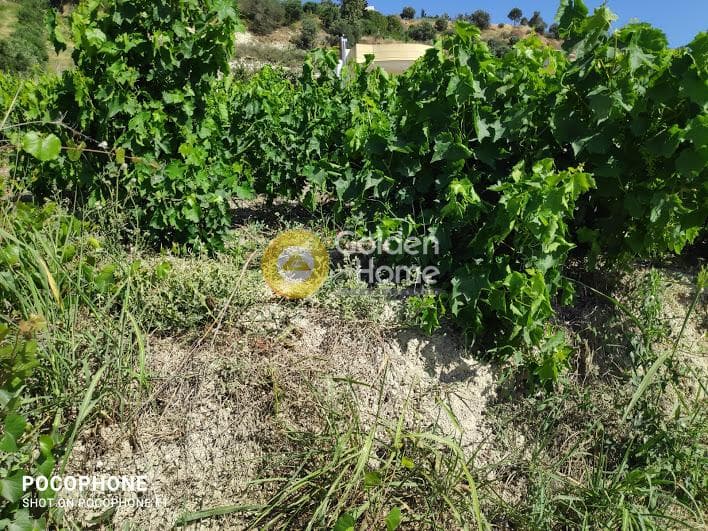 Building Plot in Athanatoi, Temenos — Photo 20 of 27
