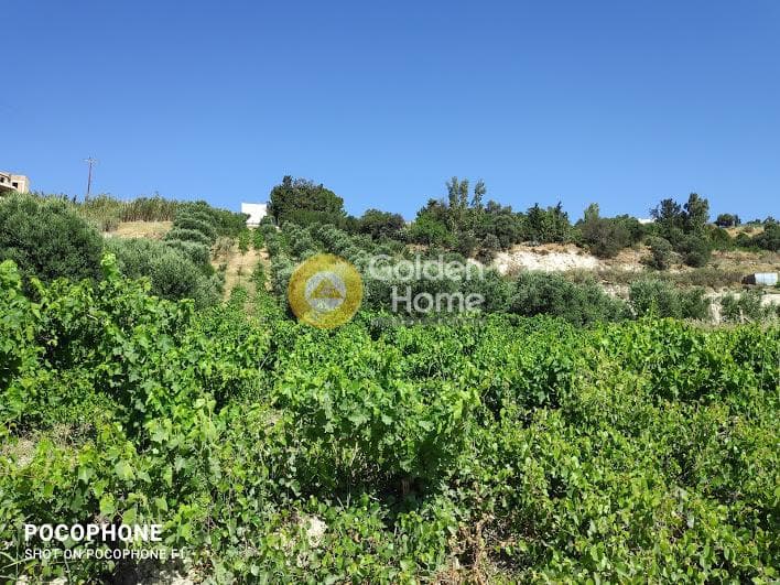 Building Plot in Athanatoi, Temenos — Photo 21 of 27