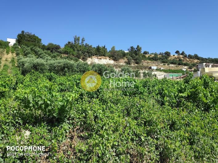 Building Plot in Athanatoi, Temenos — Photo 22 of 27