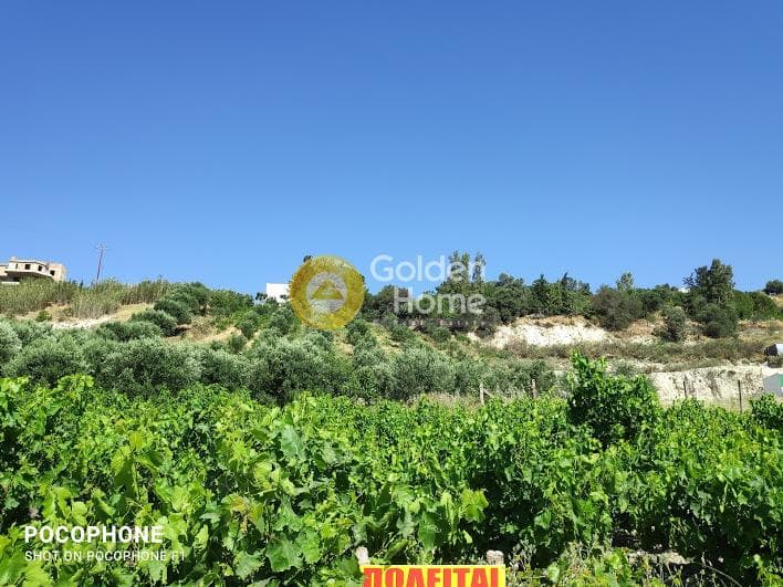 Building Plot in Athanatoi, Temenos — Photo 23 of 27