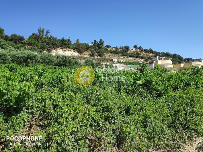 Building Plot in Athanatoi, Temenos — Photo 25 of 27