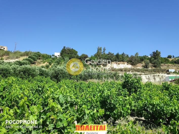 Building Plot in Athanatoi, Temenos — Photo 26 of 27