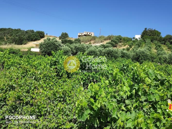 Building Plot in Athanatoi, Temenos — Photo 27 of 27