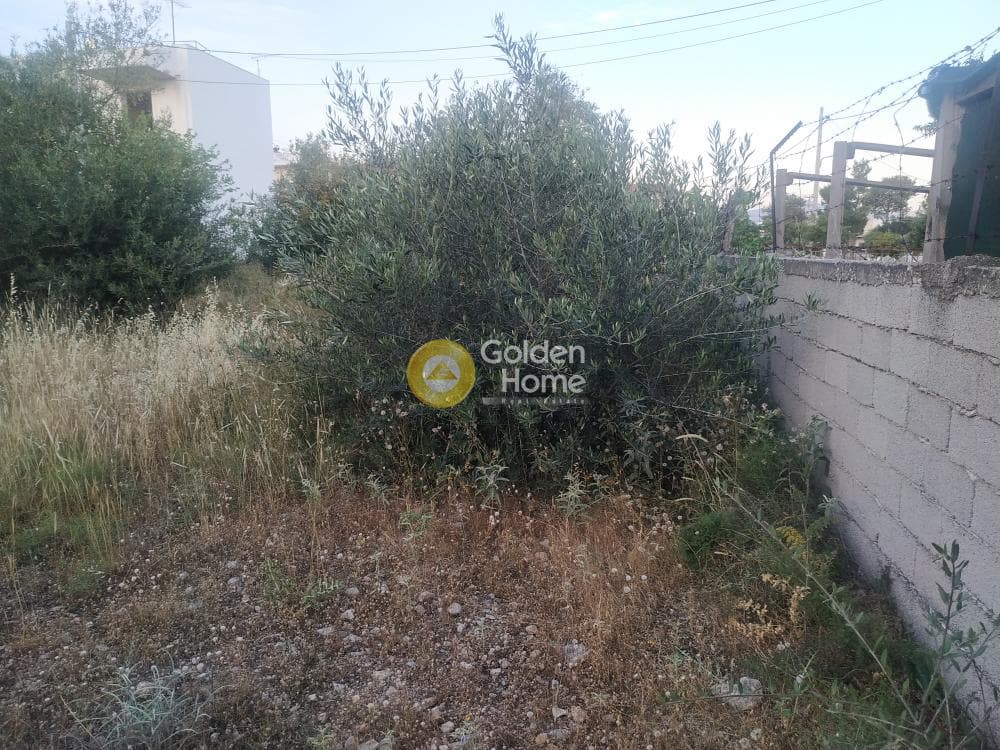 Οικόπεδο στην Άγιος Γεώργιος, Άνω Λιόσια — Φωτογραφία 10 από 10