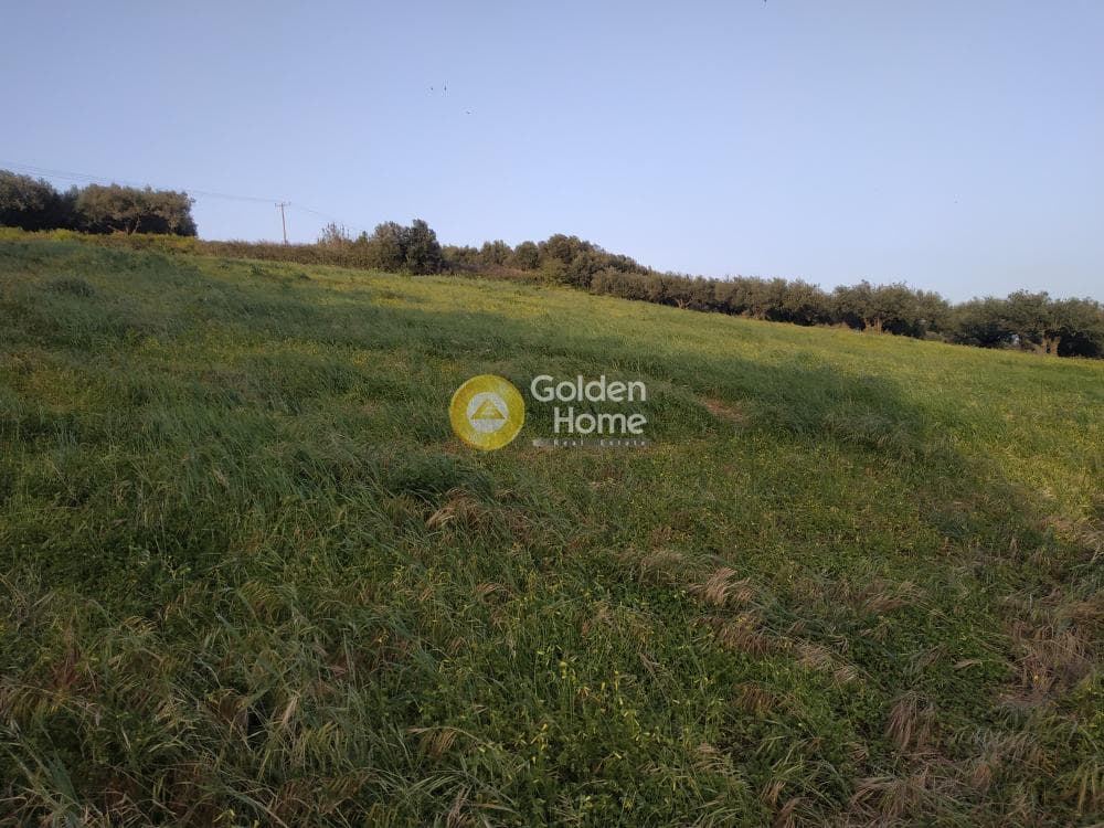 Οικόπεδο στην Καλλονή, Αρχάνες — Φωτογραφία 7 από 8