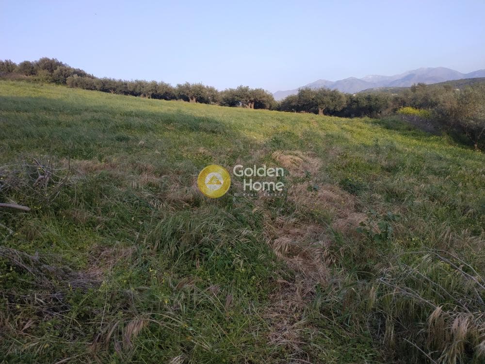 Οικόπεδο στην Καλλονή, Αρχάνες — Φωτογραφία 8 από 8