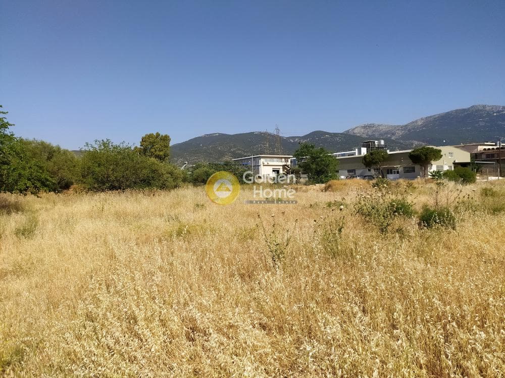 Building Plot in Megala Sxoinia A, Acharnes — Photo 1 of 4
