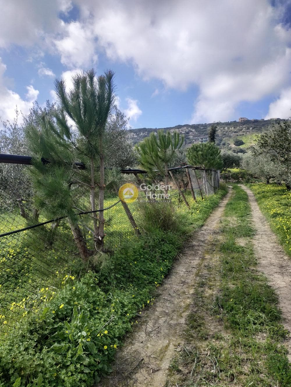 Οικόπεδο στην Καταλαγάρι, Αρχάνες — Φωτογραφία 1 από 4