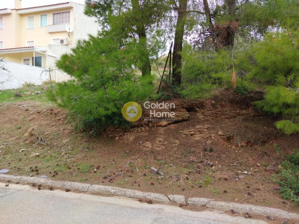 Οικόπεδο στην Δασαμάρι, Πικέρμι