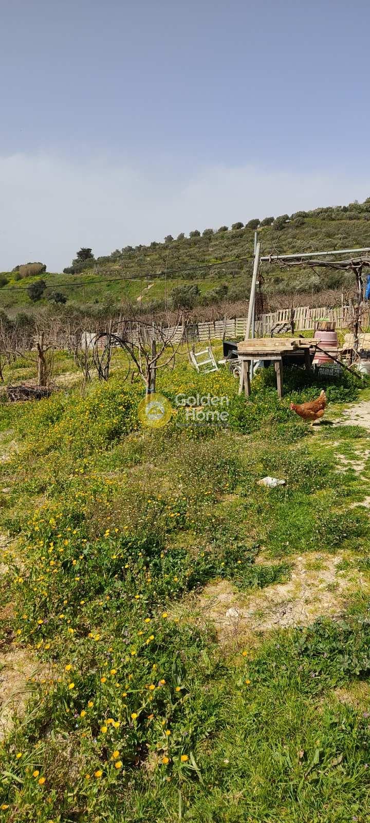 Building Plot in Stironas, Arkalochori — Photo 3 of 17