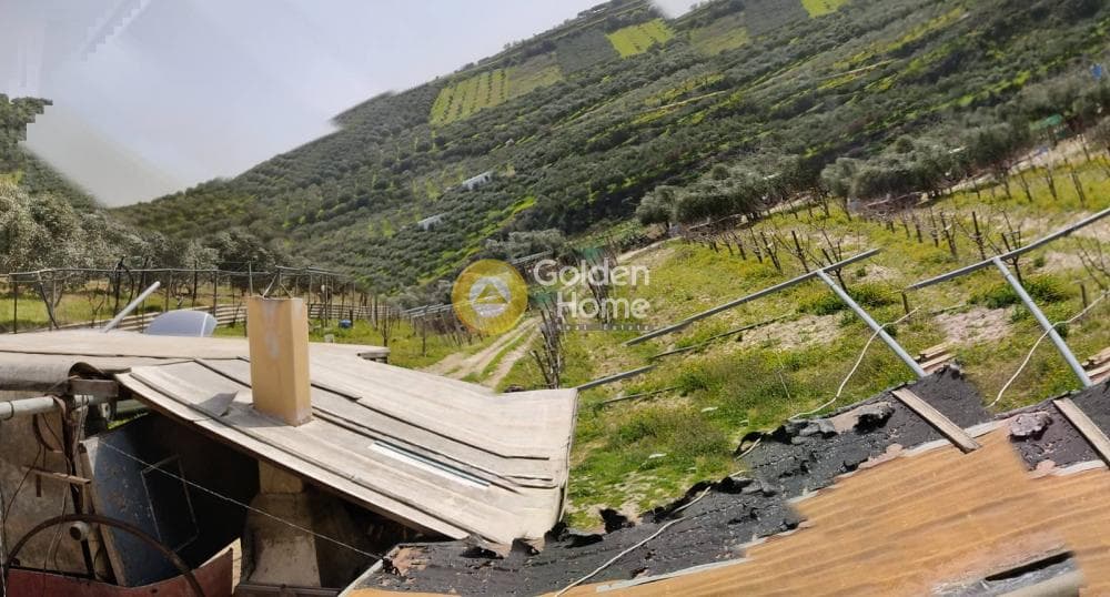 Building Plot in Stironas, Arkalochori — Photo 6 of 17