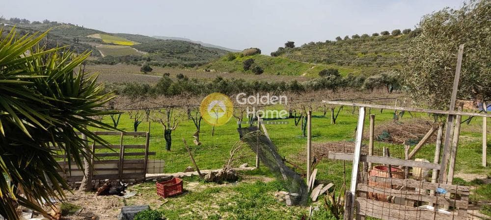 Building Plot in Stironas, Arkalochori — Photo 7 of 17