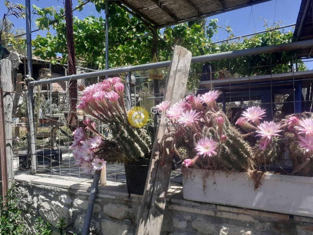 Building Plot in Stironas, Arkalochori — Photo 11 of 17