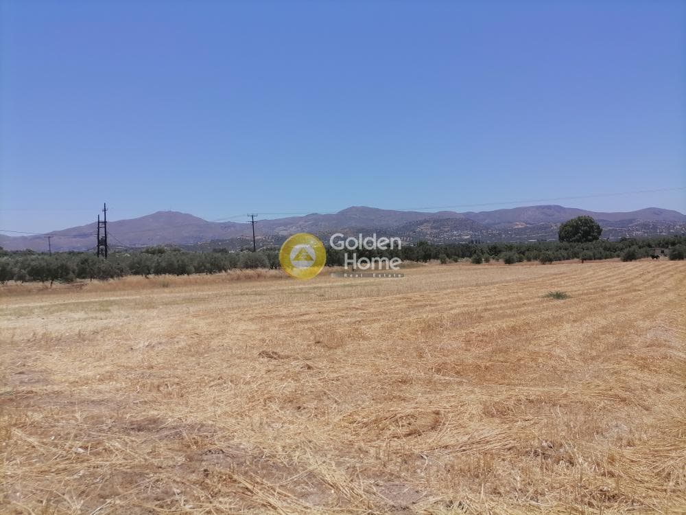 Building Plot in Moni Kalivianis, Moires — Photo 19 of 21