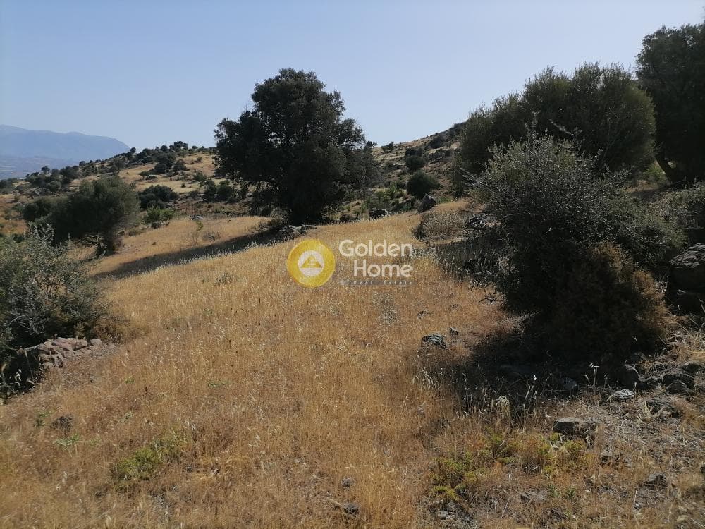 Αγροτεμάχιο στην Λίσταρος, Μοίρες — Φωτογραφία 21 από 25