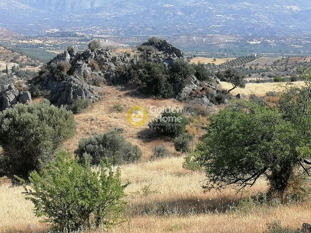 Αγροτεμάχιο στην Λίσταρος, Μοίρες — Φωτογραφία 22 από 25