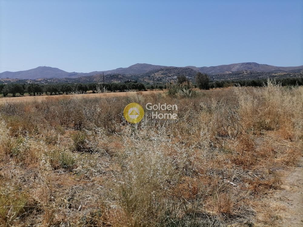 Αγροτεμάχιο στην Πετροκεφάλι, Μοίρες — Φωτογραφία 1 από 21