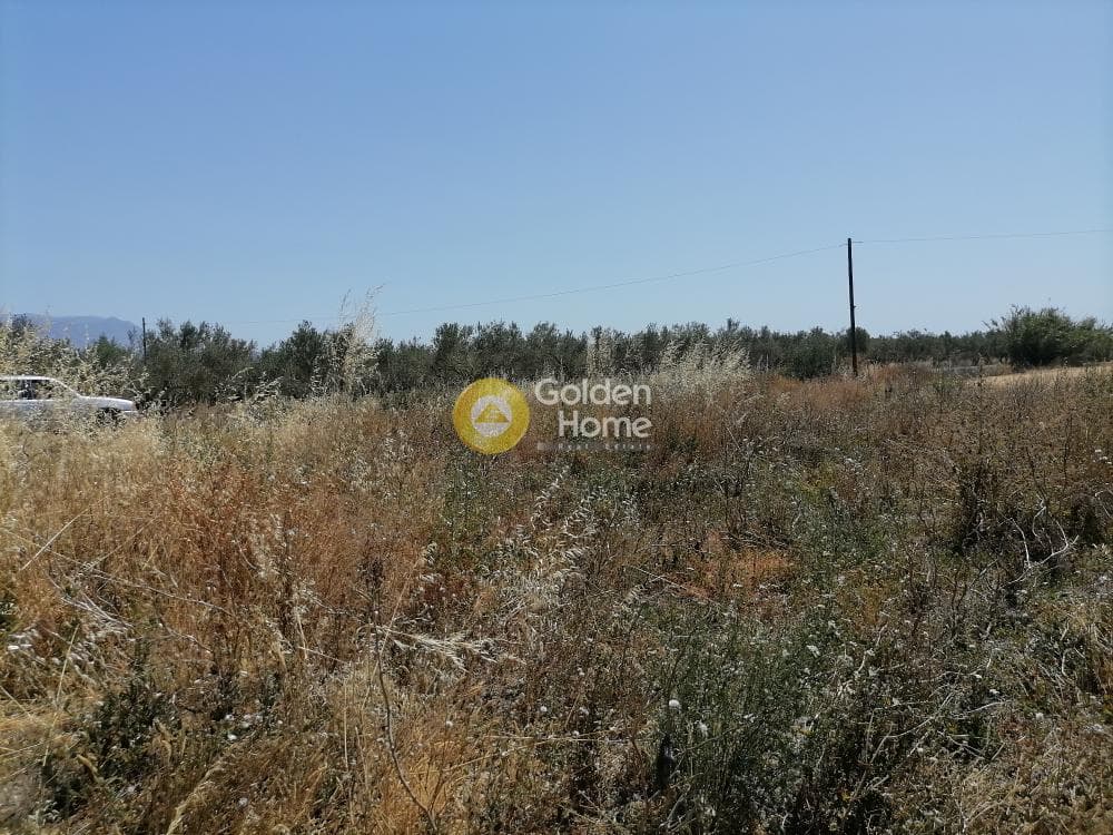 Αγροτεμάχιο στην Πετροκεφάλι, Μοίρες — Φωτογραφία 5 από 21
