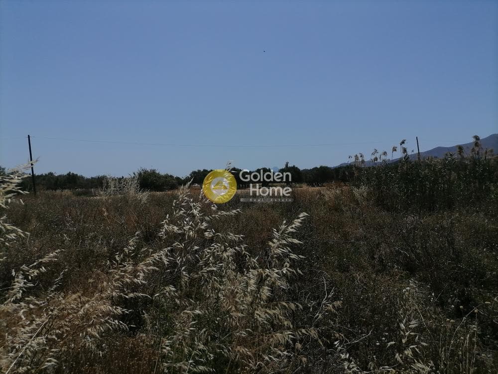 Αγροτεμάχιο στην Πετροκεφάλι, Μοίρες — Φωτογραφία 6 από 21