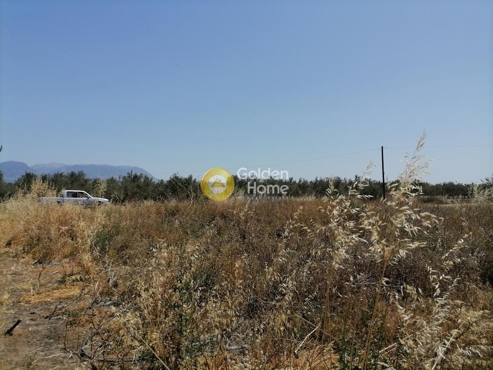 Αγροτεμάχιο στην Πετροκεφάλι, Μοίρες — Φωτογραφία 8 από 21