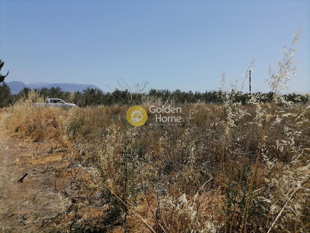 Αγροτεμάχιο στην Πετροκεφάλι, Μοίρες — Φωτογραφία 10 από 21