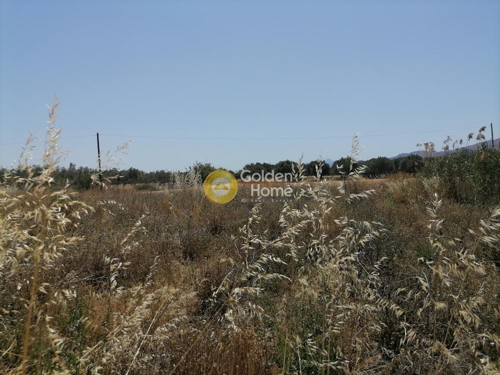 Αγροτεμάχιο στην Πετροκεφάλι, Μοίρες — Φωτογραφία 11 από 21