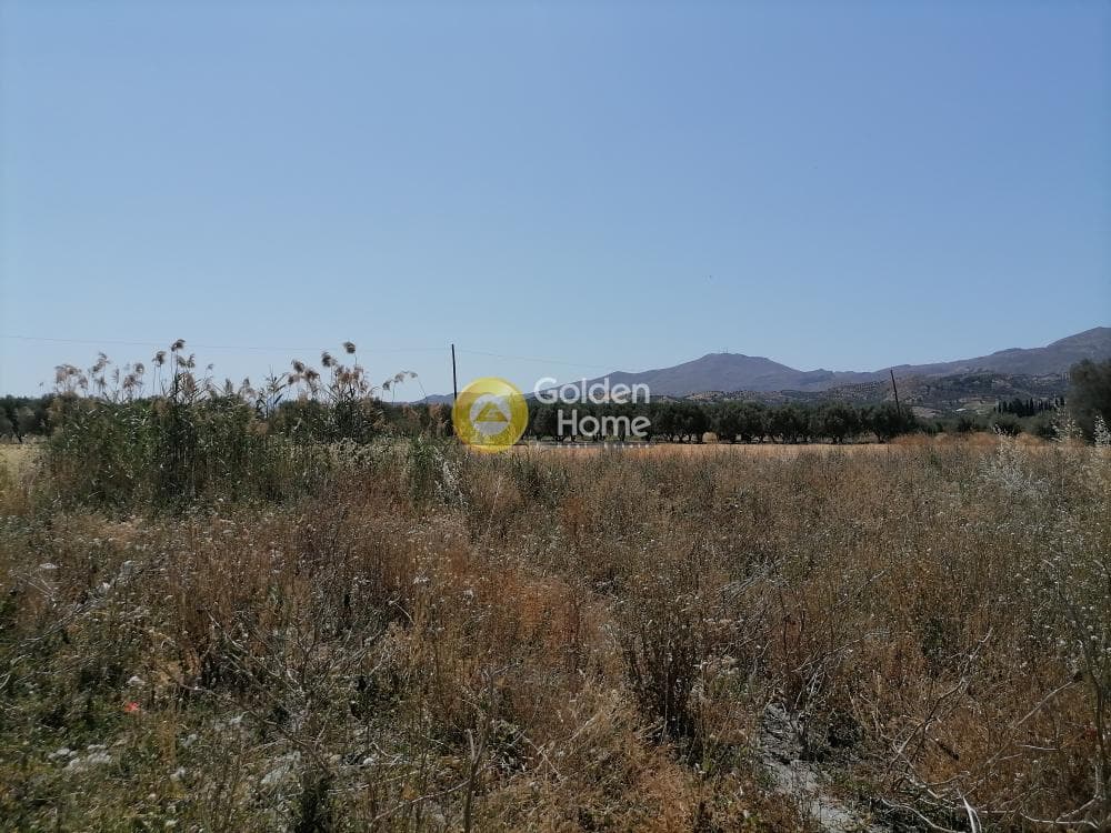 Αγροτεμάχιο στην Πετροκεφάλι, Μοίρες — Φωτογραφία 13 από 21