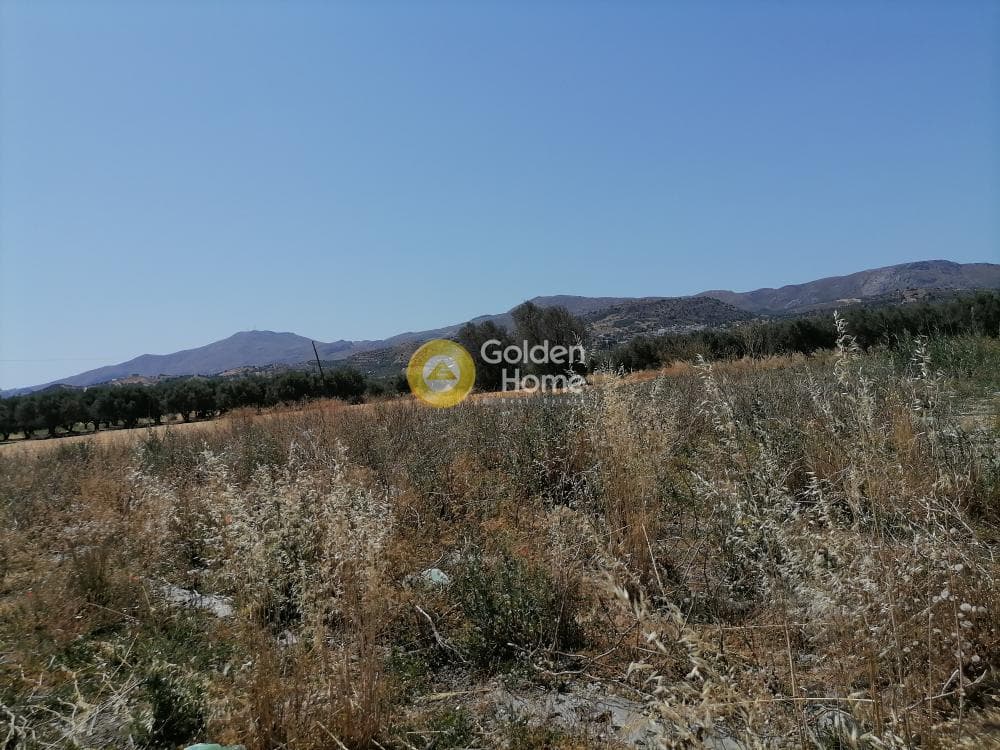Αγροτεμάχιο στην Πετροκεφάλι, Μοίρες — Φωτογραφία 14 από 21