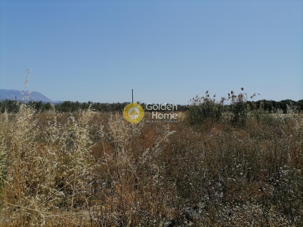 Αγροτεμάχιο στην Πετροκεφάλι, Μοίρες — Φωτογραφία 15 από 21